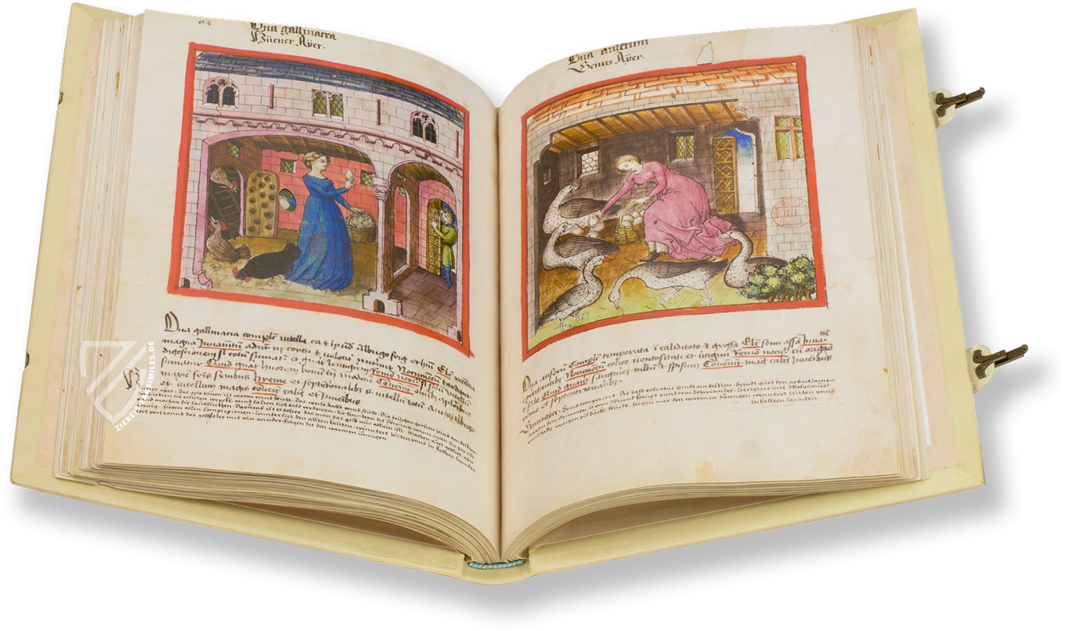 Hühnereier (ova galinacea) und Gänseeier (ova anserum) im Tacuinum Sanitatis - Codex Paris