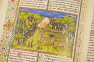 Jagdbuch des Königs Modus – Akademische Druck- u. Verlagsanstalt (ADEVA) – Ms. 10218 – KBR (Koninklijke Bibliotheek van België