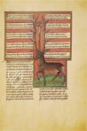 Jagdbuch des Königs Modus – Ms. 10218 – Bibliothèque Royale de Belgique (Brüssel, Belgien) Faksimile