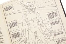 Johannes de Ketham: Fasciculus Medicinae – Editions Medicina Rara – Museum Otto Schäfer (Schweinfurt, Deutschland)