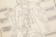 Johannes de Ketham: Fasciculus Medicinae – Editions Medicina Rara – Museum Otto Schäfer (Schweinfurt, Deutschland)