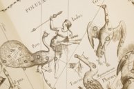 Johannes Hevelius: Firmamentum Sobiescianum sive Uranographia – Zakład Narodowy – Uph. f 1707 – Biblioteki Gdańskiej (Danzig, Polen) Johannes Hevelius: Firmamentum Sobiescianum sive Uranographia – Zakład Narodowy – Uph. f 1707 – Biblioteki Gdańskiej (Danzig, Polen)