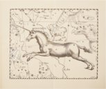 Johannes Hevelius: Firmamentum Sobiescianum sive Uranographia – Zakład Narodowy – Uph. f 1707 – Biblioteki Gdańskiej (Danzig, Polen) Johannes Hevelius: Firmamentum Sobiescianum sive Uranographia – Zakład Narodowy – Uph. f 1707 – Biblioteki Gdańskiej (Danzig, Polen)