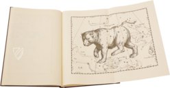 Johannes Hevelius: Firmamentum Sobiescianum sive Uranographia – Zakład Narodowy – Uph. f 1707 – Biblioteki Gdańskiej (Danzig, Polen) Johannes Hevelius: Firmamentum Sobiescianum sive Uranographia – Zakład Narodowy – Uph. f 1707 – Biblioteki Gdańskiej (Danzig, Polen)