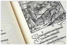 Kaiser Maximilian der I. - Die Abenteuer des Ritters Theuerdank – Müller & Schindler – Ra 16 The 1 – Württembergische Landesbibliothek (Stuttgart, Deutschland)