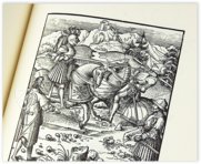 Kaiser Maximilian der I. - Die Abenteuer des Ritters Theuerdank – Müller & Schindler – Ra 16 The 1 – Württembergische Landesbibliothek (Stuttgart, Deutschland)