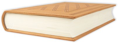 Kaiser Maximilian der I. - Die Abenteuer des Ritters Theuerdank – Müller & Schindler – Ra 16 The 1 – Württembergische Landesbibliothek (Stuttgart, Deutschland)