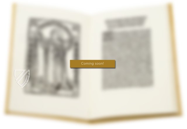 Kaiser Maximilian der I. - Die Abenteuer des Ritters Theuerdank – Müller & Schindler – Württembergische Landesbibliothek (Stuttgart, Deutschland)