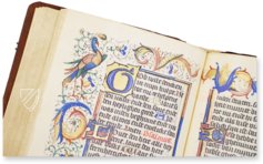Kalendarium der Diözese Utrecht – Orbis Pictus – Rps 83/I – Biblioteka Uniwersytecka Mikołaj Kopernik w Toruniu (Toruń, Polen) Kalendarium der Diözese Utrecht – Orbis Pictus – Rps 83/I – Biblioteka Uniwersytecka Mikołaj Kopernik w Toruniu (Toruń, Polen)