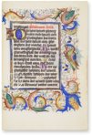 Kalendarium der Diözese Utrecht – Orbis Pictus – Rps 83/I – Biblioteka Uniwersytecka Mikołaj Kopernik w Toruniu (Toruń, Polen) Kalendarium der Diözese Utrecht – Orbis Pictus – Rps 83/I – Biblioteka Uniwersytecka Mikołaj Kopernik w Toruniu (Toruń, Polen)