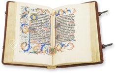 Kalendarium der Diozöse Utrecht – Orbis Pictus – Rps 83/I – Biblioteka Uniwersytecka Mikołaj Kopernik w Toruniu (Toruń, Polen)