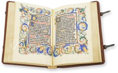 Kalendarium der Diozöse Utrecht – Orbis Pictus – Rps 83/I – Biblioteka Uniwersytecka Mikołaj Kopernik w Toruniu (Toruń, Polen)