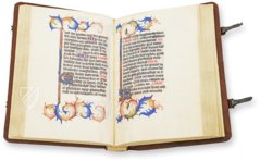 Kalendarium der Diozöse Utrecht – Orbis Pictus – Rps 83/I – Biblioteka Uniwersytecka Mikołaj Kopernik w Toruniu (Toruń, Polen)