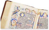 Kalendarium der Diozöse Utrecht – Orbis Pictus – Rps 83/I – Biblioteka Uniwersytecka Mikołaj Kopernik w Toruniu (Toruń, Polen)