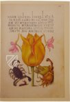 Kalligraphiebuch – Faksimile Verlag – Ms. 20 (86. MV. 527) – Getty Museum (Los Angeles, USA)