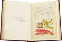 Kalligraphiebuch – Faksimile Verlag – Ms. 20 (86. MV. 527) – J. Paul Getty Museum (Los Angeles, USA)