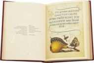 Kalligraphiebuch – Faksimile Verlag – Ms. 20 (86. MV. 527) – J. Paul Getty Museum (Los Angeles, USA)