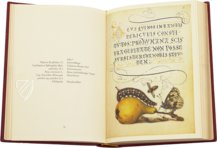 Kalligraphiebuch – Faksimile Verlag – Ms. 20 (86. MV. 527) – J. Paul Getty Museum (Los Angeles, USA)