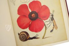 Kalligraphiebuch – Faksimile Verlag – Ms. 20 (86. MV. 527) – J. Paul Getty Museum (Los Angeles, USA)