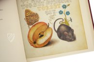 Kalligraphiebuch – Faksimile Verlag – Ms. 20 (86. MV. 527) – J. Paul Getty Museum (Los Angeles, USA)