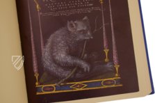 Kalligraphiebuch – Faksimile Verlag – Ms. 20 (86. MV. 527) – J. Paul Getty Museum (Los Angeles, USA)