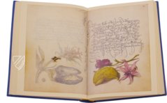 Kalligraphiebuch – Faksimile Verlag – Ms. 20 (86. MV. 527) – J. Paul Getty Museum (Los Angeles, USA)