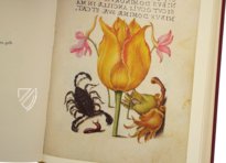 Kalligraphiebuch – Ms. 20 (86. MV. 527) – Getty Museum (Los Angeles, USA) Faksimile