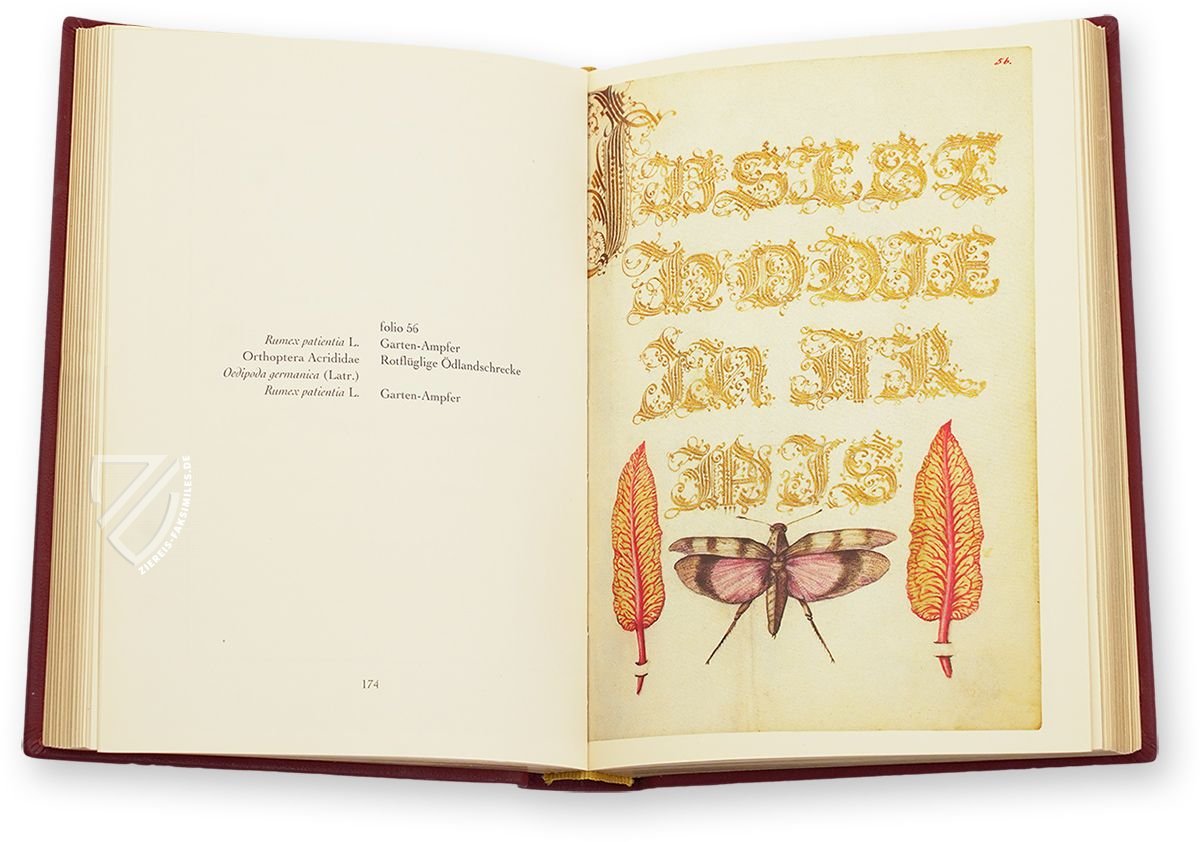 Kalligraphiebuch