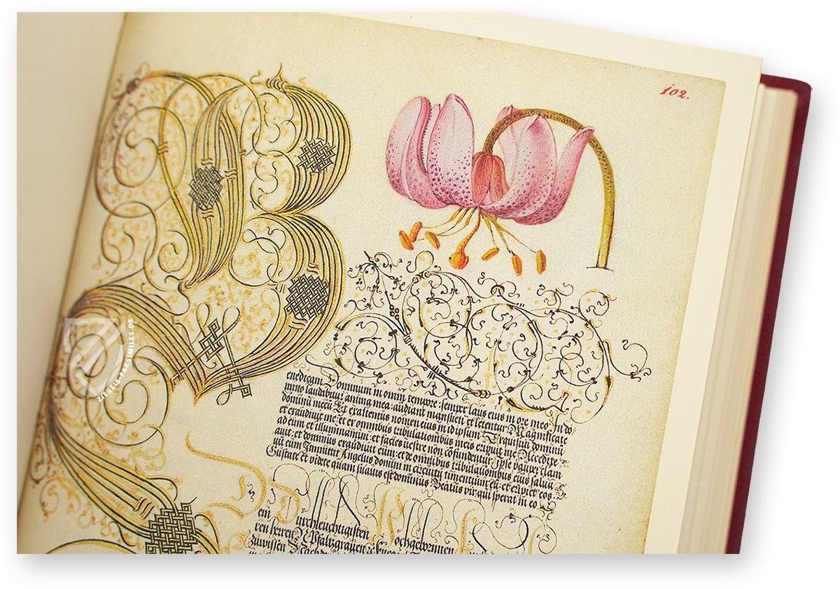 Kalligraphiebuch