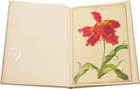 Karlsruher Tulpenbuch – Landeskreditbank Baden-Württemberg – Cod. Karlsruhe 3302 – Badische Landesbibliothek (Karlsruhe, Deutschland)