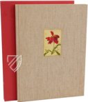 Karlsruher Tulpenbuch – Landeskreditbank Baden-Württemberg – Cod. Karlsruhe 3302 – Badische Landesbibliothek (Karlsruhe, Deutschland)