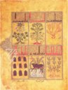 Kitâb al-Diryâq (Thériaque de Paris) – Aboca Museum – Ms. Arabe 2964 – Bibliothèque nationale de France (Paris, Frankreich)