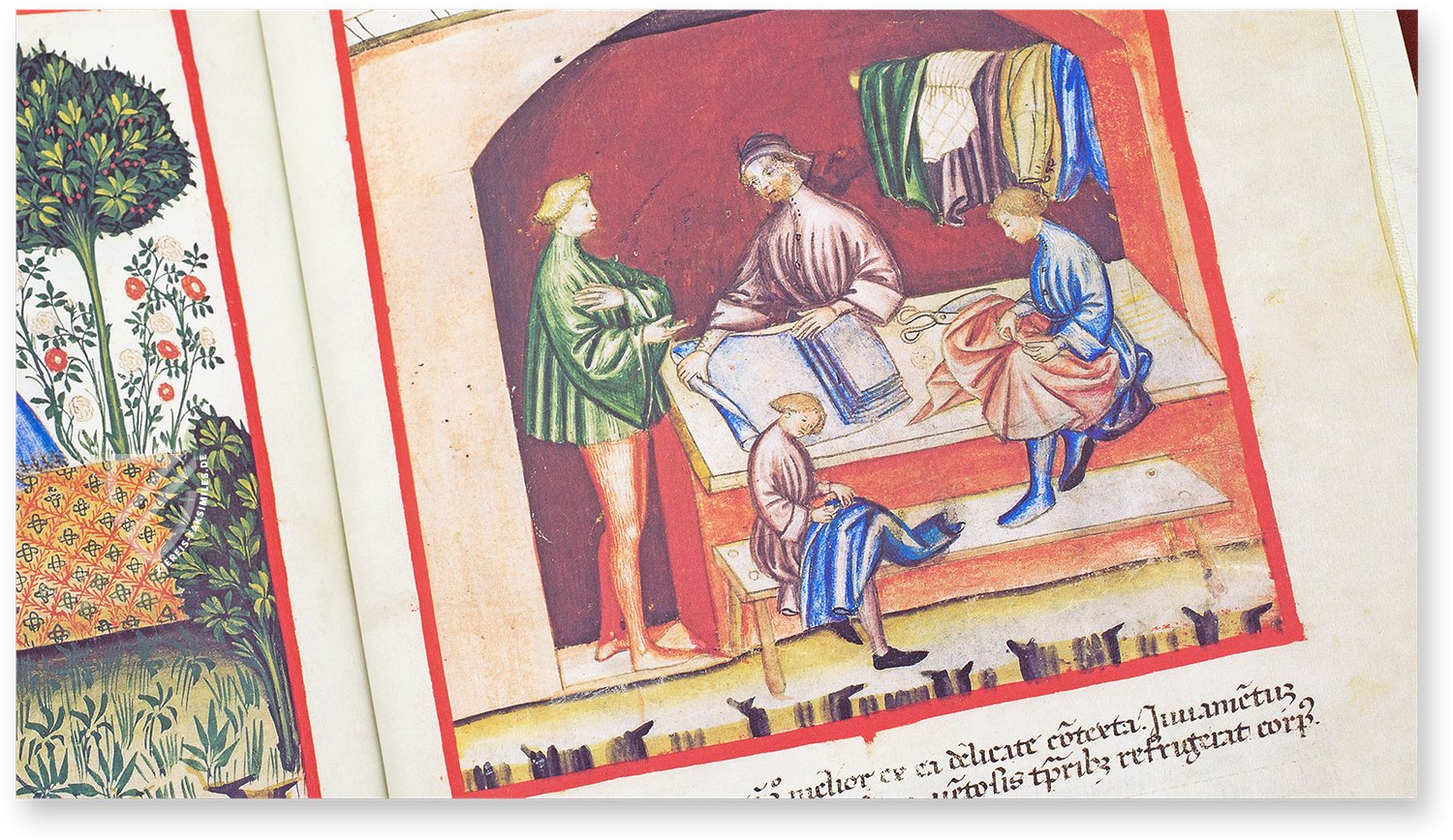 Kleidung aus Seide (vestis de seta) im Theatrum Sanitatis
