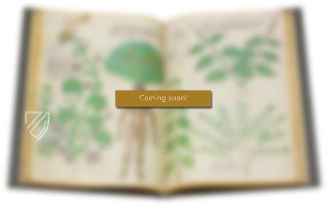 Kochbuch des Maestro Martino – Nova Charta – F-MS-1 – Biblioteca Civica e Archivio Storico di Riva del Garda (Riva del Garda, Italien)