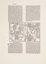 Kölner Bibel 1478/1479 – Friedrich Wittig Verlag – Bibl.Th.I.A.57 (Ink.) – Universitäts- und Landesbibliothek Düsseldorf (Düsseldorf, Deutschland)