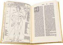 Kompendium der Gesundheit – Vicent Garcia Editores – I/51 – Biblioteca Nacional de España (Madrid, Spanien)