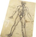 Korpus der anatomischen Studien – Collezione Apocrifa Da Vinci – Royal Library at Windsor Castle (Windsor, Vereinigtes Königreich)