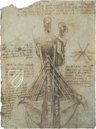 Korpus der anatomischen Studien – Collezione Apocrifa Da Vinci – Royal Library at Windsor Castle (Windsor, Vereinigtes Königreich)