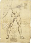 Korpus der anatomischen Studien – Collezione Apocrifa Da Vinci – Royal Library at Windsor Castle (Windsor, Vereinigtes Königreich)