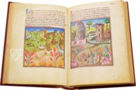 La Mirabile Visione – Ms. Douce 134 – Bodleian Library (Oxford, Vereinigtes Königreich) Faksimile