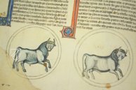 Lapidarium von König Alfons dem Weisen – Edilan – ms. H. I. 15 – Real Biblioteca del Monasterio de San Lorenzo de El Escorial (San Lorenzo de El Escorial, Spanien)