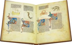 Lapidarium von König Alfons des Weisen – Edilan – ms. H. I. 15 – Real Biblioteca del Monasterio (San Lorenzo de El Escorial, Spanien)