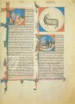 Lapidarium von König Alfons des Weisen – Edilan – ms. H. I. 15 – Real Biblioteca del Monasterio (San Lorenzo de El Escorial, Spanien)