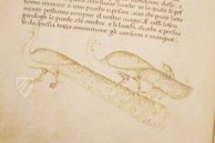 Leben des Heiligen Benedikt – Il Bulino, edizioni d'arte – ms. 239 B.4.13 – Biblioteca Comunale Teresiana di Mantova (Montava, Italien) Faksimile