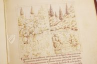 Leben des Heiligen Benedikt – Il Bulino, edizioni d'arte – ms. 239 B.4.13 – Biblioteca Teresiana (Mantua, Italien)