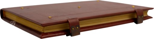 Leben des Heiligen Benedikt – Il Bulino, edizioni d'arte – ms. 239 B.4.13 – Biblioteca Teresiana (Mantua, Italien)