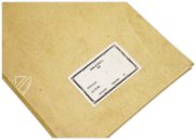 Leben des Heiligen Vincent Ferrer – Vicent Garcia Editores – CF/4-21 – Biblioteca Històrica de la Universitat de València (Valencia, Spanien)