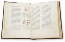 Leben und Wirken des Heiligen Franz von Assisi – ArtCodex – Gaddi 112 – Biblioteca Medicea Laurenziana (Florenz, Italien)