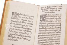 Leben von Lazarillo de Tormes – AyN Ediciones – Biblioteca Nacional de España (Madrid, Spanien)