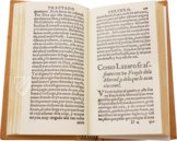 Leben von Lazarillo de Tormes – Biblioteca Nacional de España (Madrid, Spanien) Faksimile